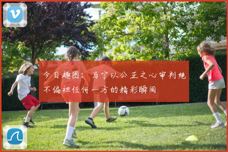 今日趣图：马宁以公正之心审判绝不偏袒任何一方的精彩瞬间