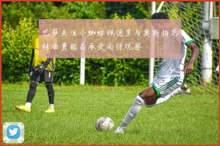 巴萨关注小蜘蛛佩德罗与奥斯梅恩转会费能否承受尚待观察